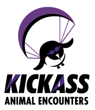 Kickass Animal Encounters